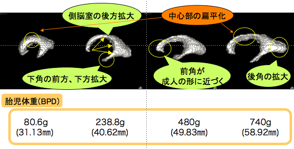 スクリーンショット 2014-07-11 20.53.16