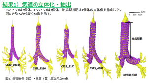 気管軟骨の形成