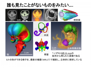 研究紹介