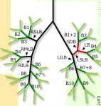 PLoS One 2021, https://doi.org/10.1371/journal.pone.0245558