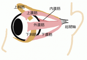 名称未設定